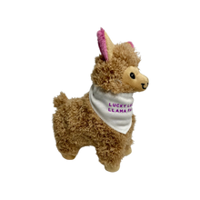 Load image into Gallery viewer, *OUTLET* Luc&#39;s LLama Plushy